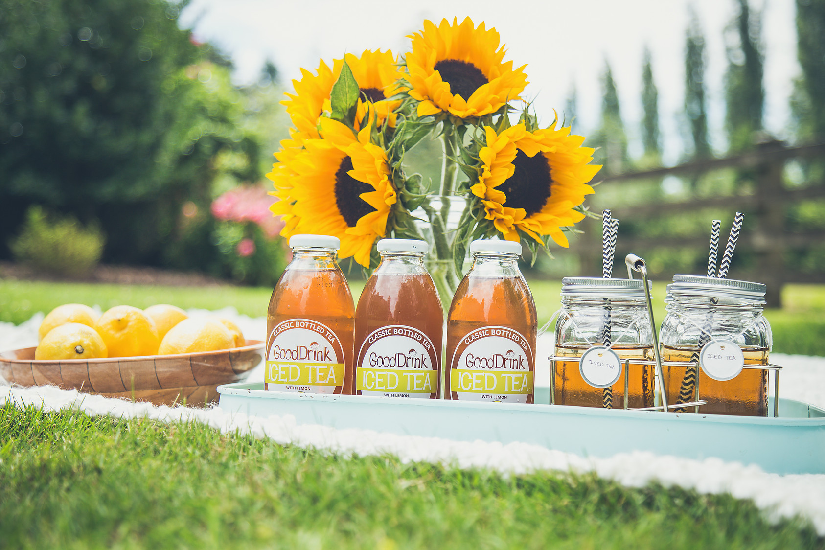 canada, boylan soda, cabana lemonade, stumptown coffee, stumptown cold brew, zola acai juice, zola coconut water, gooddrink bottled tea, gooddri