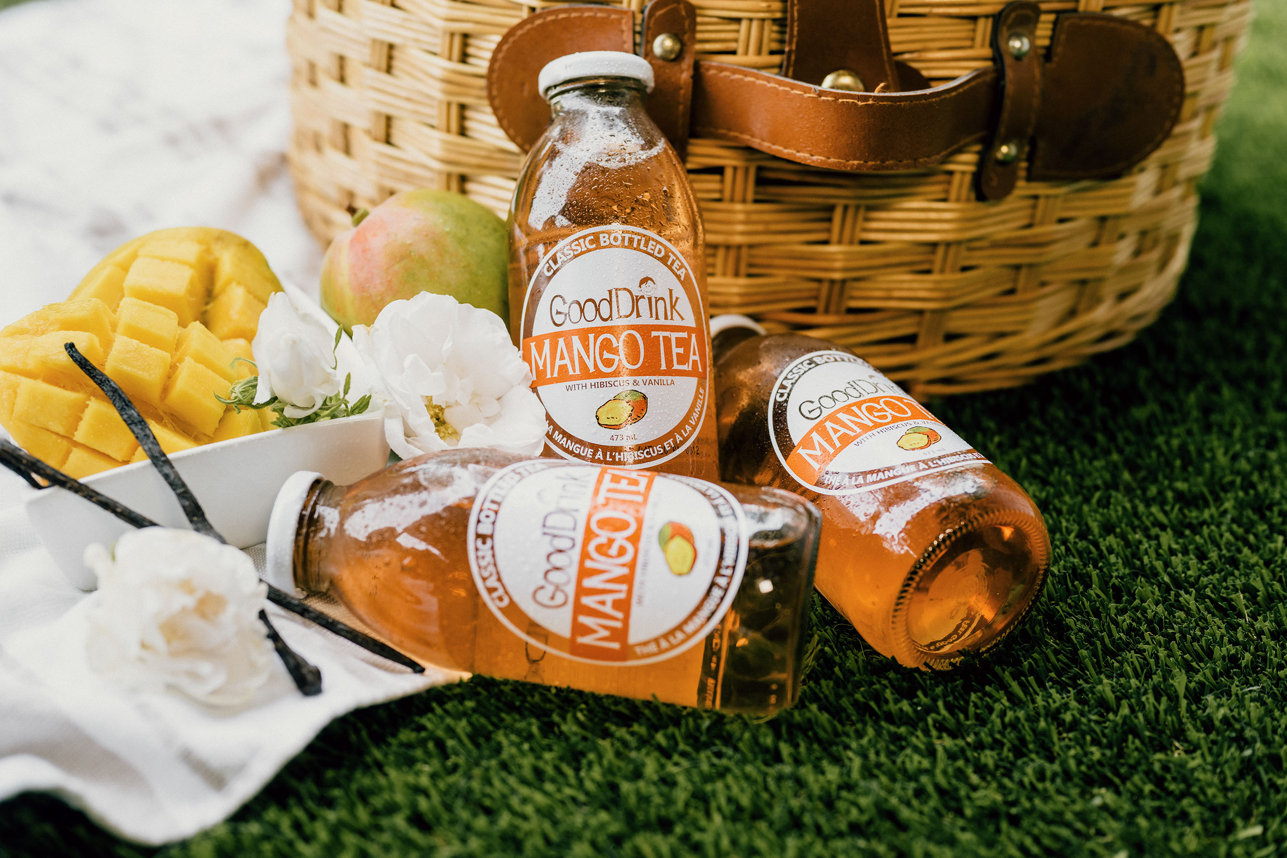 canada, boylan soda, cabana lemonade, stumptown coffee, stumptown cold brew, zola acai juice, zola coconut water, gooddrink bottled tea, gooddri